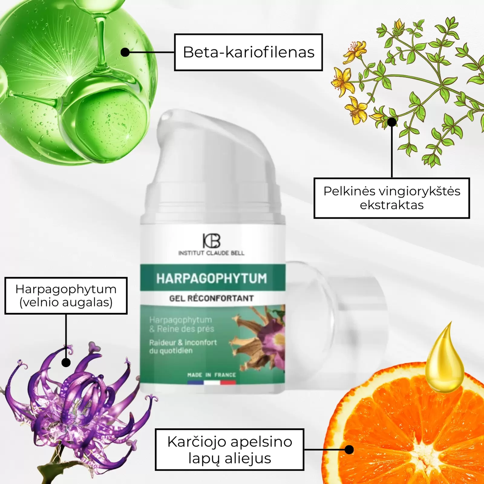 Raminantis gelis su Harpagophytum (velnio augalu ): sąnariams, lėtiniui uždegimui, osteoartritui, nugaros skausmams, raumenų įtampai Raminantis gelis su Harpagophytum (velnio augalu ): sąnariams, lėtiniui uždegimui, osteoartritui, nugaros skausmams, raumenų įtampai